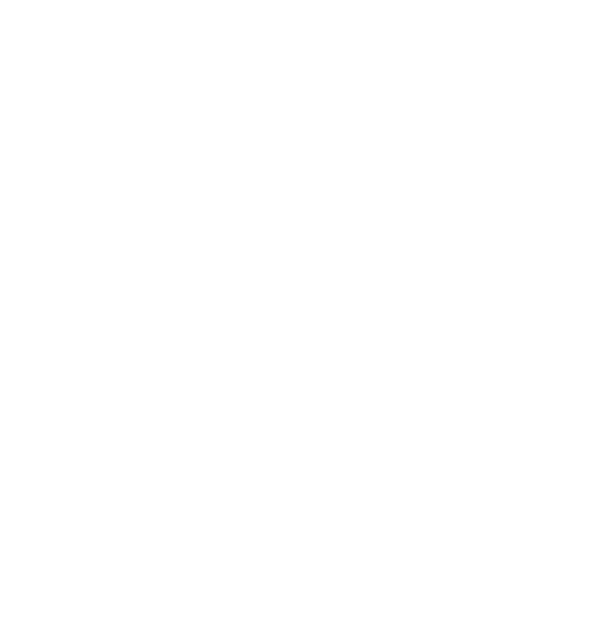 Technique - Ninja Obstacle Academy