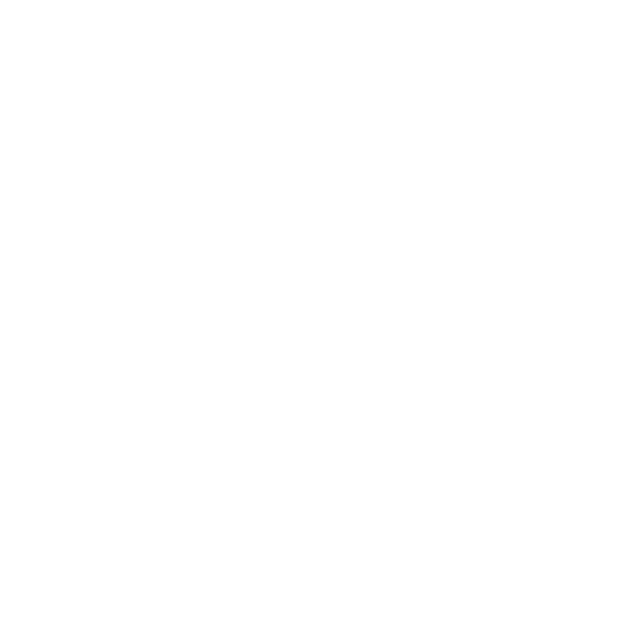 Balance - Ninja Obstacle Academy